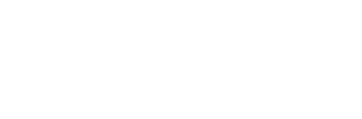 Pelican Express Car Wash logo designed by Wash Brands